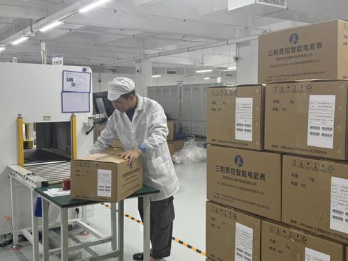 智能電表行業(yè)迎來發(fā)展新契機(jī) 技術(shù)革新與市場(chǎng)需求雙輪驅(qū)動(dòng)計(jì)量技術(shù)服務(wù)升級(jí)