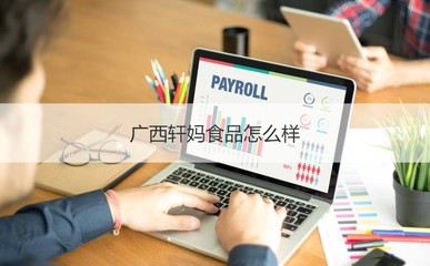 廣西軒媽食品公司概覽 工作時間、發(fā)展與計算機(jī)軟硬件業(yè)務(wù)